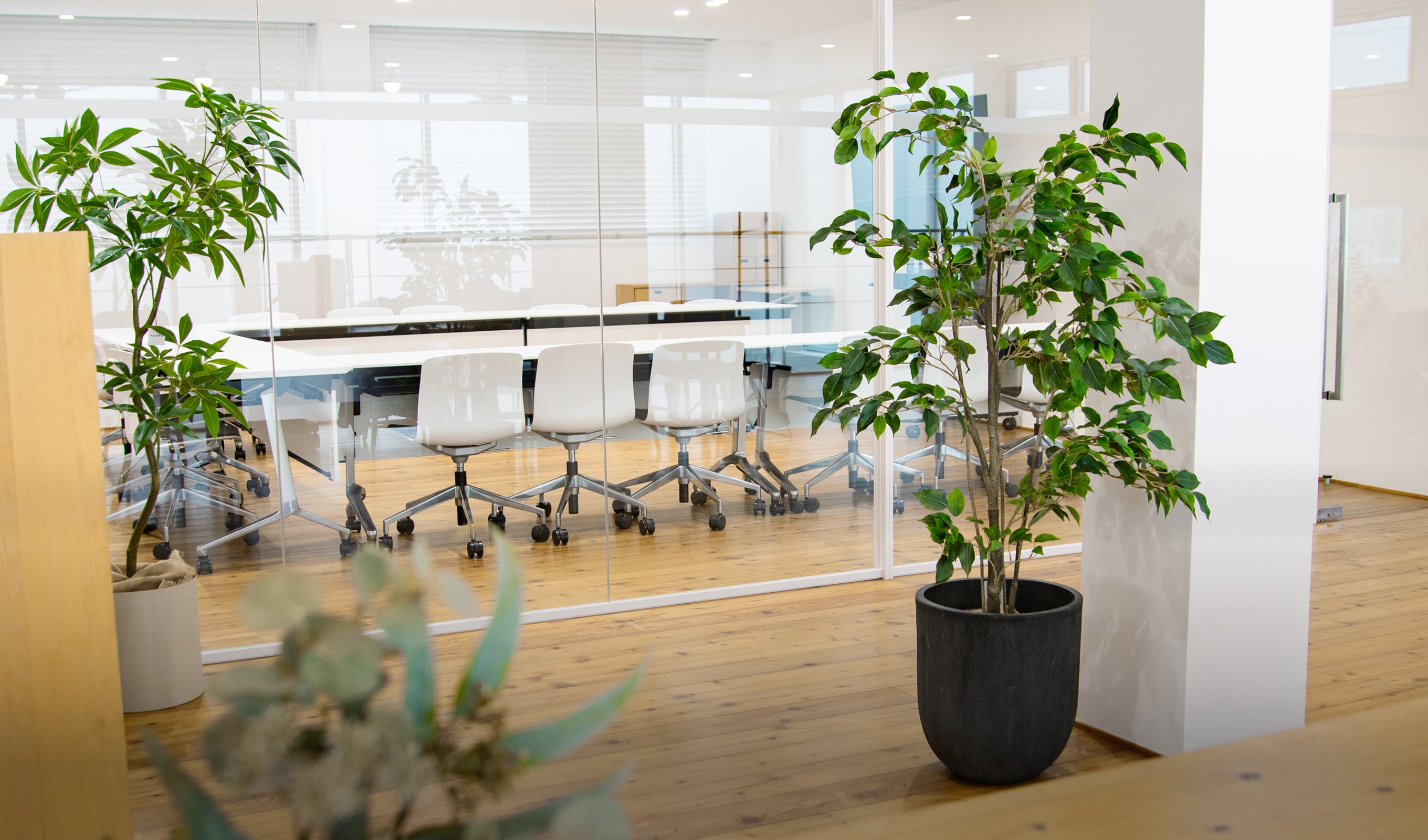 OFFICE GREEN FV2