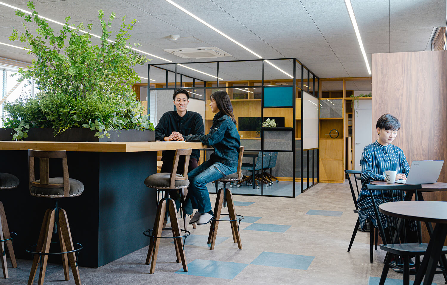 OFFICE GREEN SOLUTION IMG1